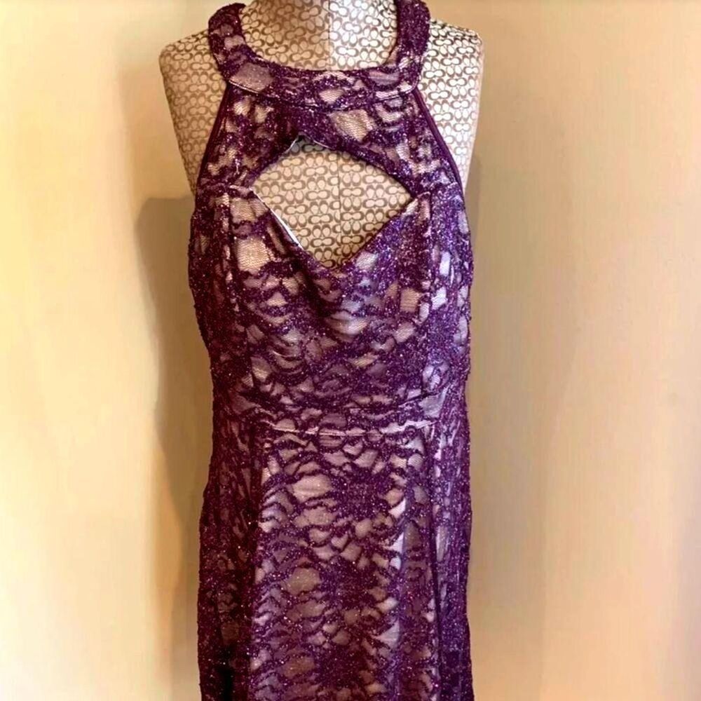 Cranberry Lace Dress Size Large